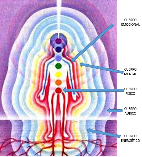 cuerpos del ser cuerpos del ser